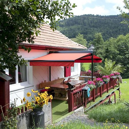 Gite Chez Mimie Breitenbach-Haut-Rhin エクステリア 写真