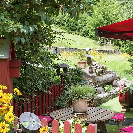 Gite Chez Mimie Breitenbach-Haut-Rhin エクステリア 写真