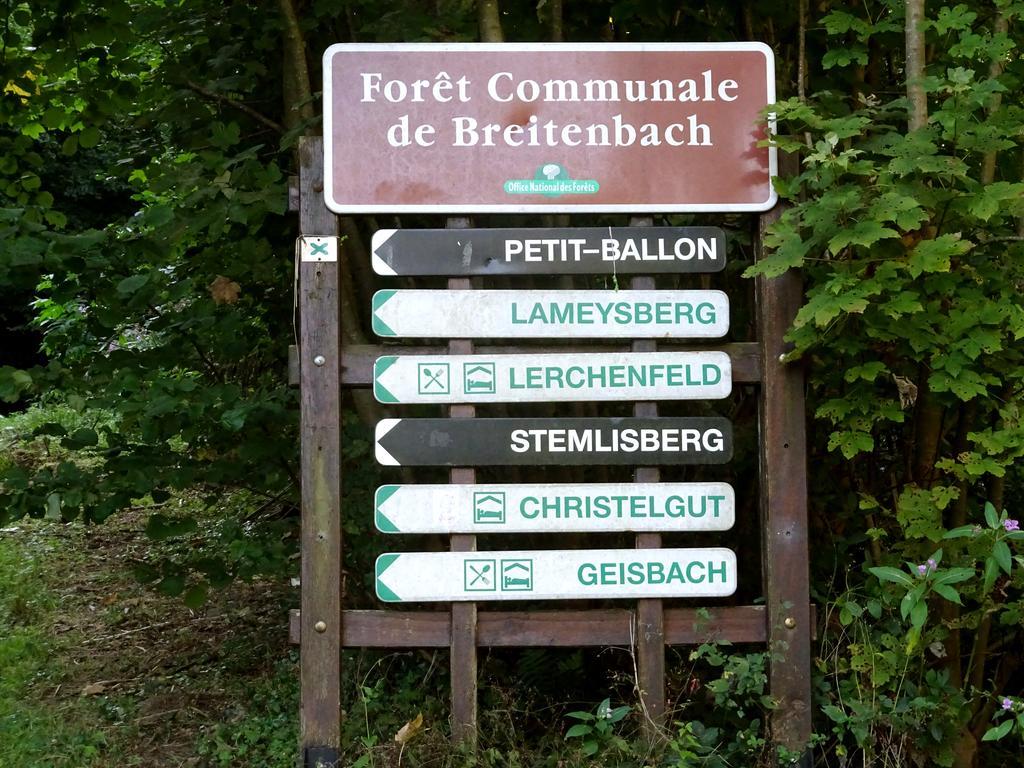 Gite Chez Mimie Breitenbach-Haut-Rhin エクステリア 写真