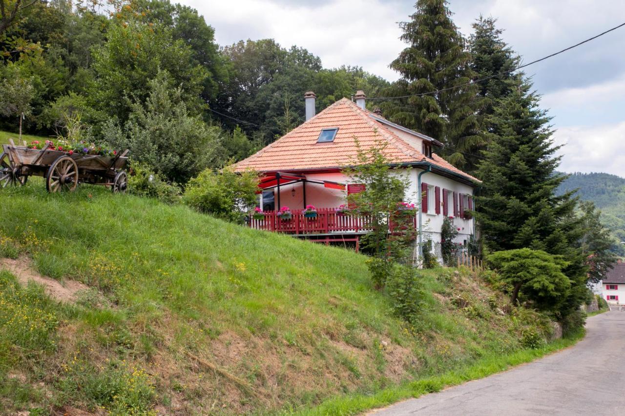Gite Chez Mimie Breitenbach-Haut-Rhin エクステリア 写真