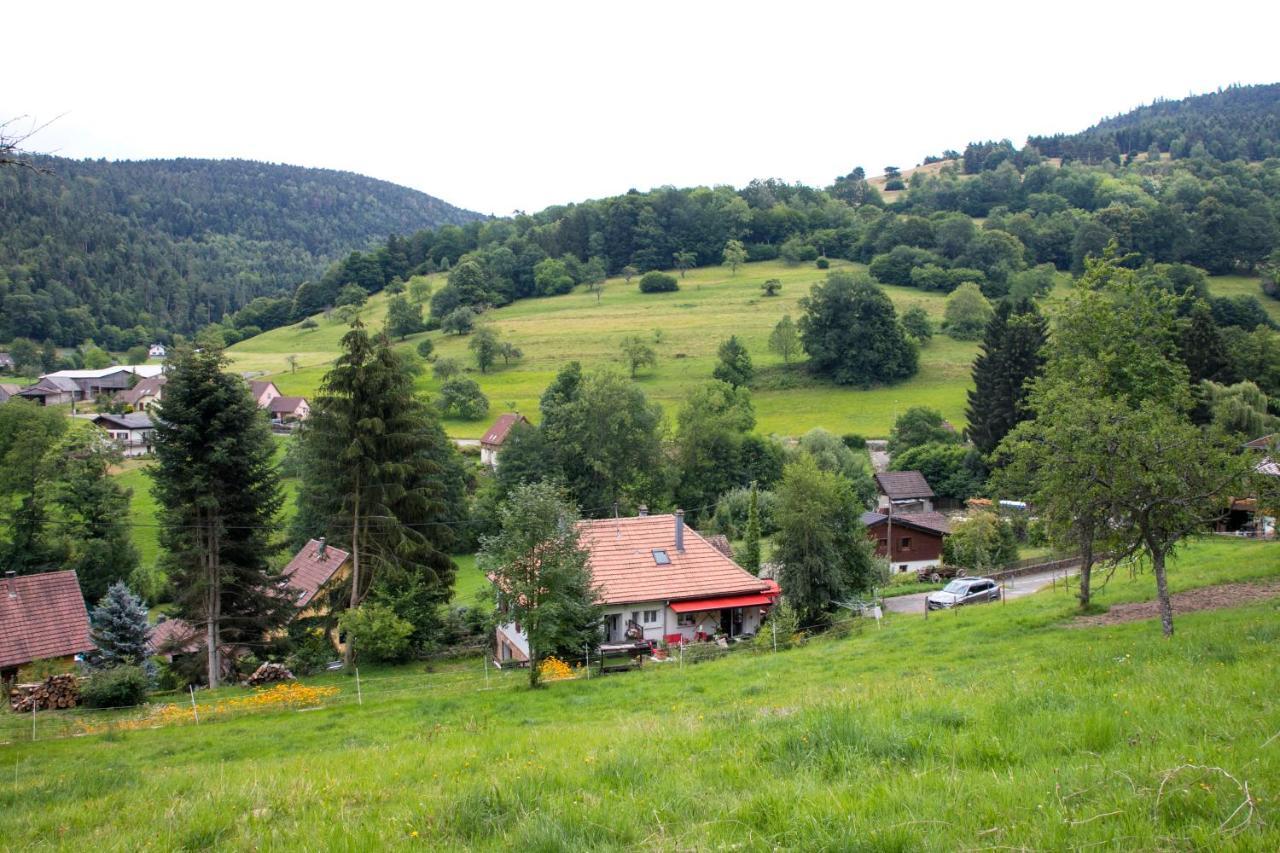 Gite Chez Mimie Breitenbach-Haut-Rhin エクステリア 写真