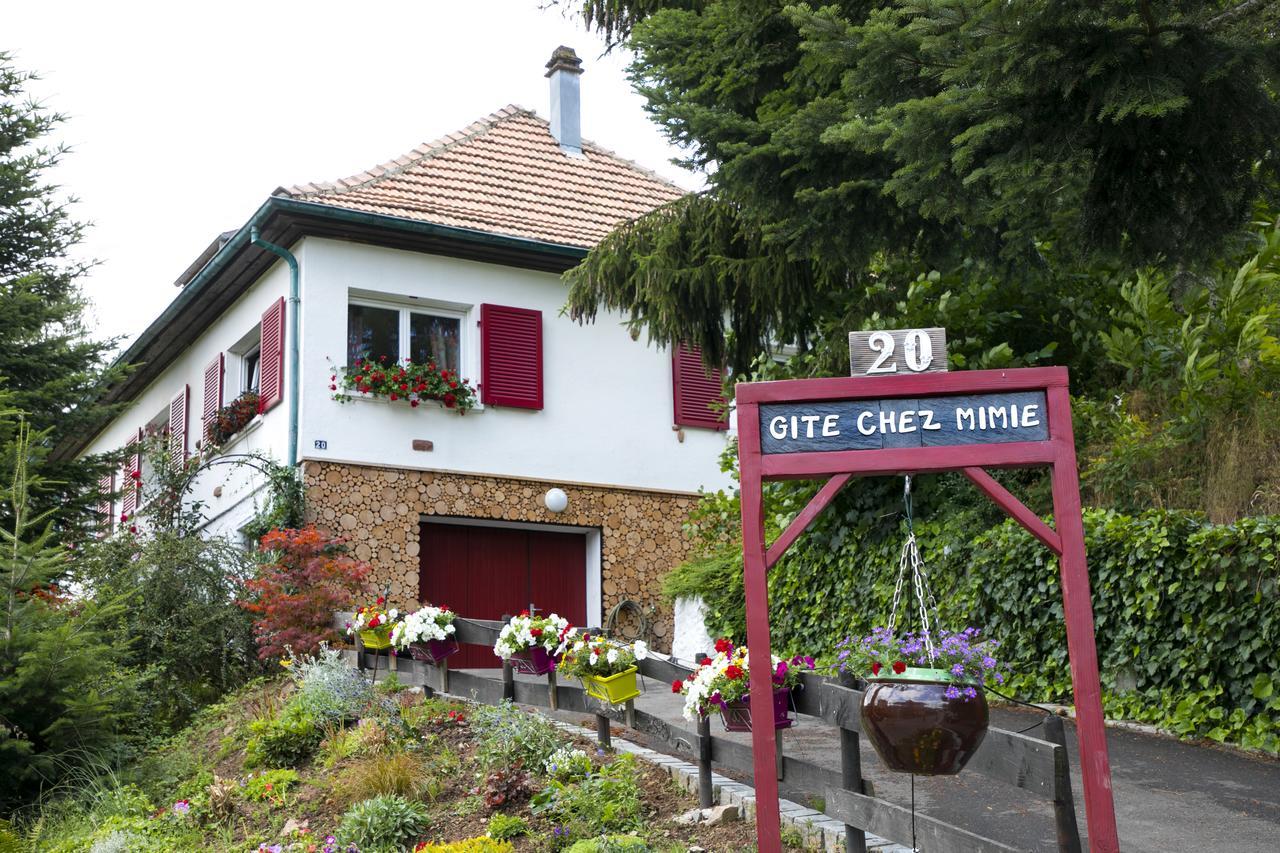 Gite Chez Mimie Breitenbach-Haut-Rhin エクステリア 写真