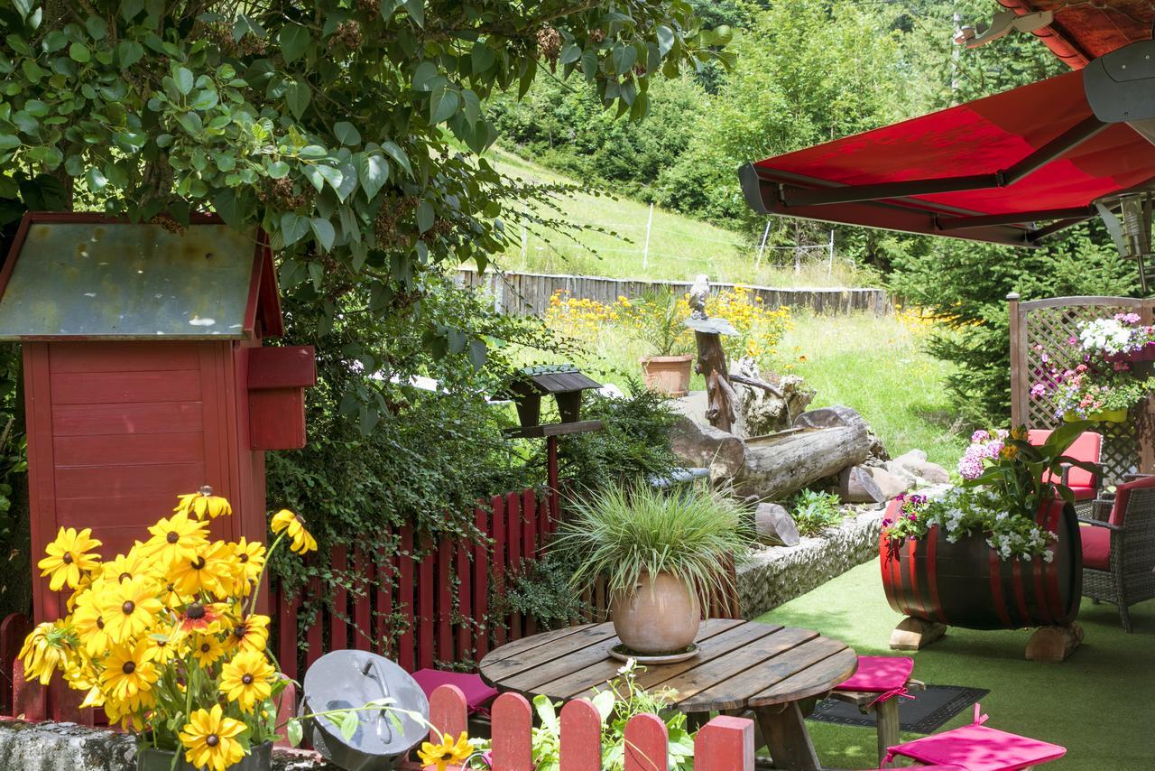 Gite Chez Mimie Breitenbach-Haut-Rhin エクステリア 写真