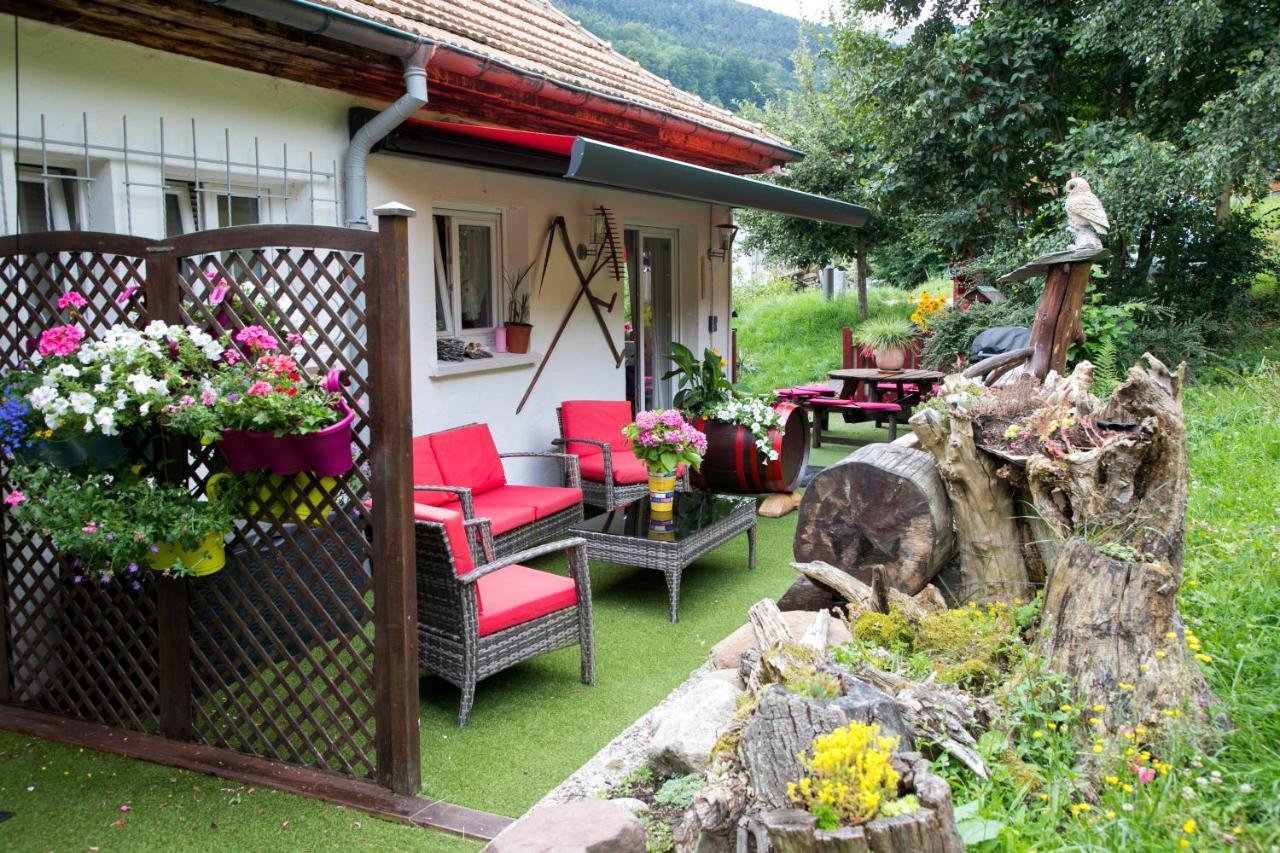 Gite Chez Mimie Breitenbach-Haut-Rhin エクステリア 写真